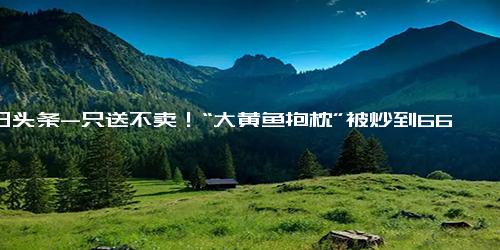 今日头条-只送不卖！“大黄鱼抱枕”被炒到666元 网友 贫穷限制了我的想象！